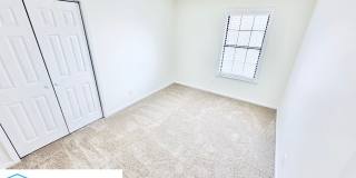8712 Carrollwood Lane Gallery 16