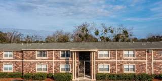 Sea Oats Sea Oats Gallery 13