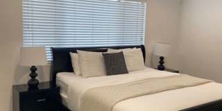 The Shelby Apartments Gallery 15