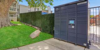 Telegraph Hill Gallery 18