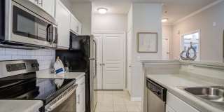 Avant at Steele Creek Gallery 7