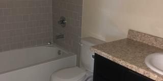 Beautiful Home in Saguaro! Gallery 14