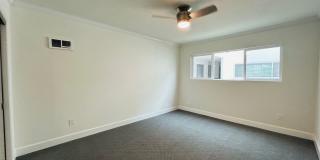 vet182 Gallery 17