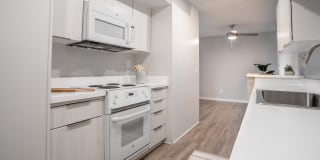 Huntington Continental Gallery 9