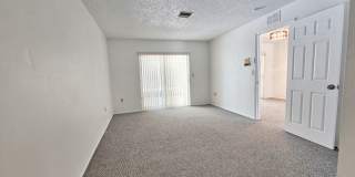 3 Bedroom 2 Bath Home in Safety Harbor Gallery 17