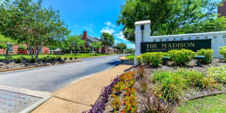 Madison at Schilling Farms Gallery 4