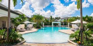 Town Treeline Gallery 2