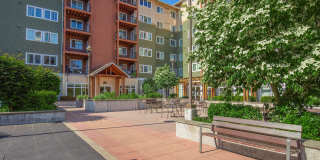 Urban Center Apartments Gallery 55