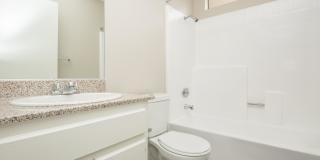 Mountain Springs Gallery 49