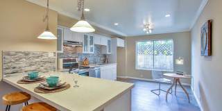 Gorgeous, Massive, 1BR/1BA, Fully Updated, 1000sqft+, A+++ Location, Parking Included Gorgeous, Massive, 1BR/1BA, Fully Updated, 1000sqft+, A+++ Location, Parking Included Gallery 1