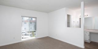 Volterra at La Mesa Gallery 61