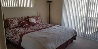 Furnished Condo- Summer Rental Gallery 29