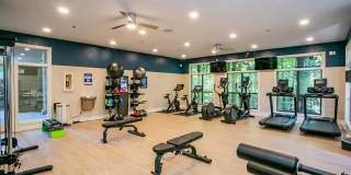 Park Trace Apartments Gallery 8