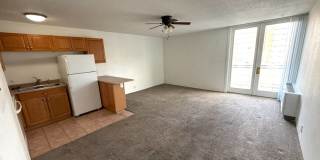 Studio Apartment in DU Area-Parking and Storage! Gallery 5