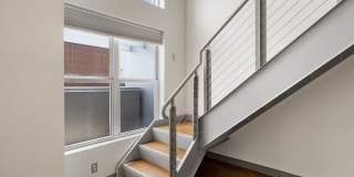 Whiteway 2000 Gallery 293