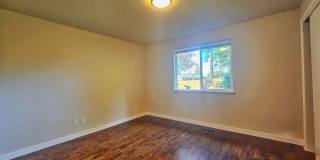Beautifully Remodeled 3 Bed 2 Bath Rambler in Eastgate, Bellevue Gallery 13