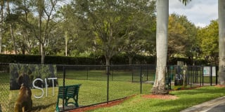 Citation Club Gallery 19