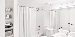 Coconut Palm Club Gallery 44