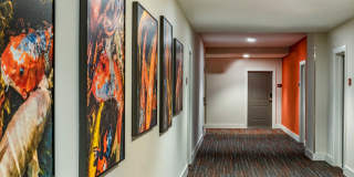 Addison Row Gallery 49