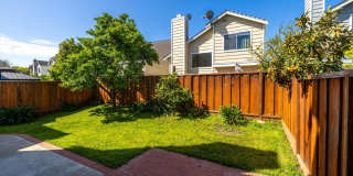 34267 Quartz Terrace Gallery 33