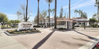 San Montego Gallery 11
