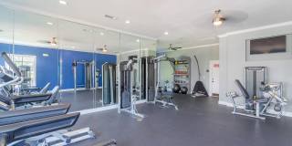 Carrington at Champion Forest Apartments Gallery 12