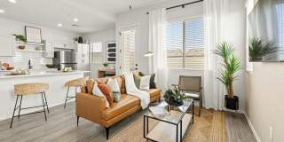 Canopy at Cottonwood Gallery 15