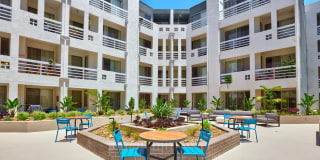 Museum Terrace Gallery 16