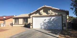 Showings Available NOW Gallery 3
