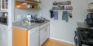 4501-09 N Greenview Gallery 16