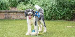 Avonlea Square Gallery 33