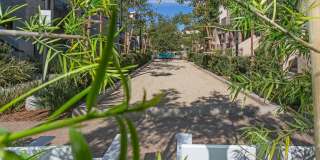 2 Bed+Office in Bressi Ranch! Gallery 39