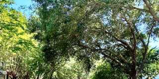 50% OFF 1ST MONTH RENT -----  3B/2.5B Townhome located in Twin Lakes Neighborhood! Gallery 22