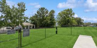 Evergreen at Five Points Gallery 23