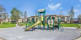 Camino Real Gallery 27