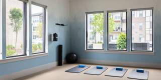 The Cannon Gallery 31