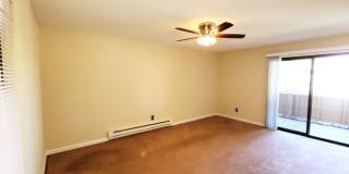 3870 East Leonesio Drive Gallery 3