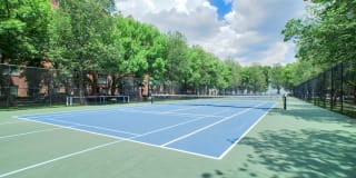 Harbor Point on the Bay Gallery 8