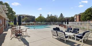 Lakeside Village Gallery 5