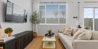 Village of Chandler Gallery 10