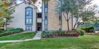 1 Bedroom 1 Bathroom Beautifully Updated Washer/Dryer In Unit Gallery 1