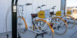 Cadia Sherman Gallery 43