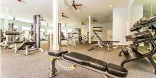 Abbey Lane Gallery 19