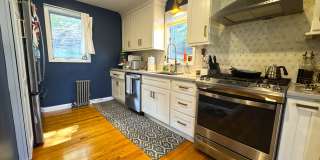 65 Whitford St Gallery 1