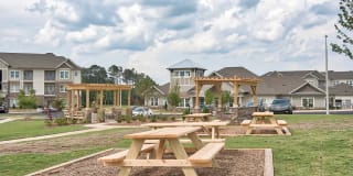 Pines at Glen Laurel Luxury Apartments Gallery 12