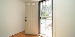 243 Newport Street Gallery 46