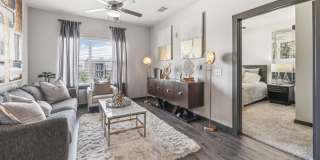 Terra at University North Park Gallery 3