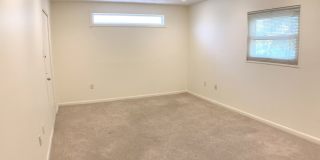 Great 4BR/2BA South Tampa home with Large fenced yard. Gallery 12
