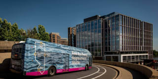 The Banks Gallery 66