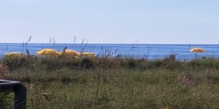 504 67th Ave Apt 12 Gallery 14